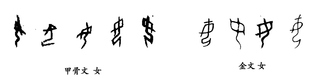 20241120/269b7ea7901f17b08a8c9f849dc66ede.png