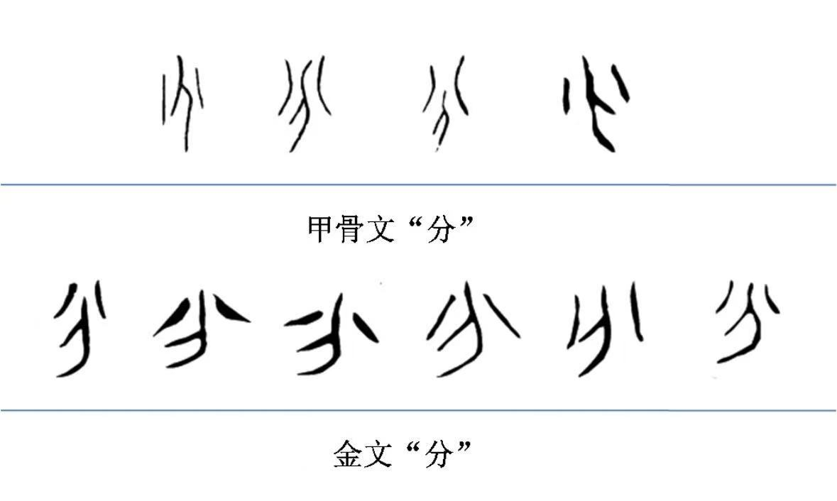 20241120/b21a9574667677ca0889c07a73577976.png