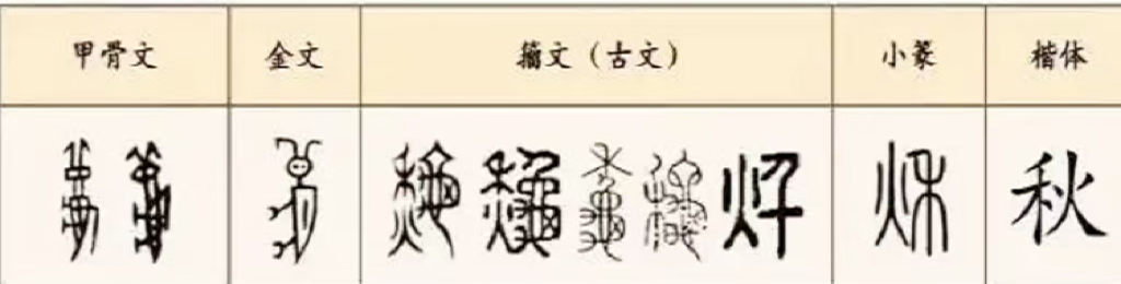 20241120/bb1017abac183f5aa75b1fdd0e3be4cc.png